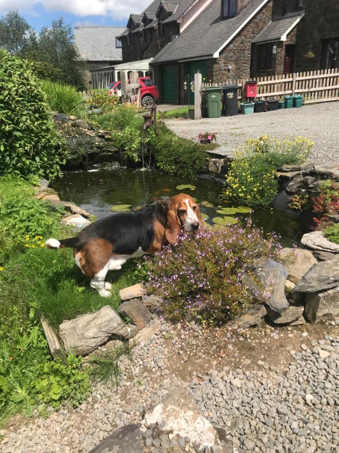 斯托克之家住宿加早餐旅馆 Stoke Rivers 外观 照片
